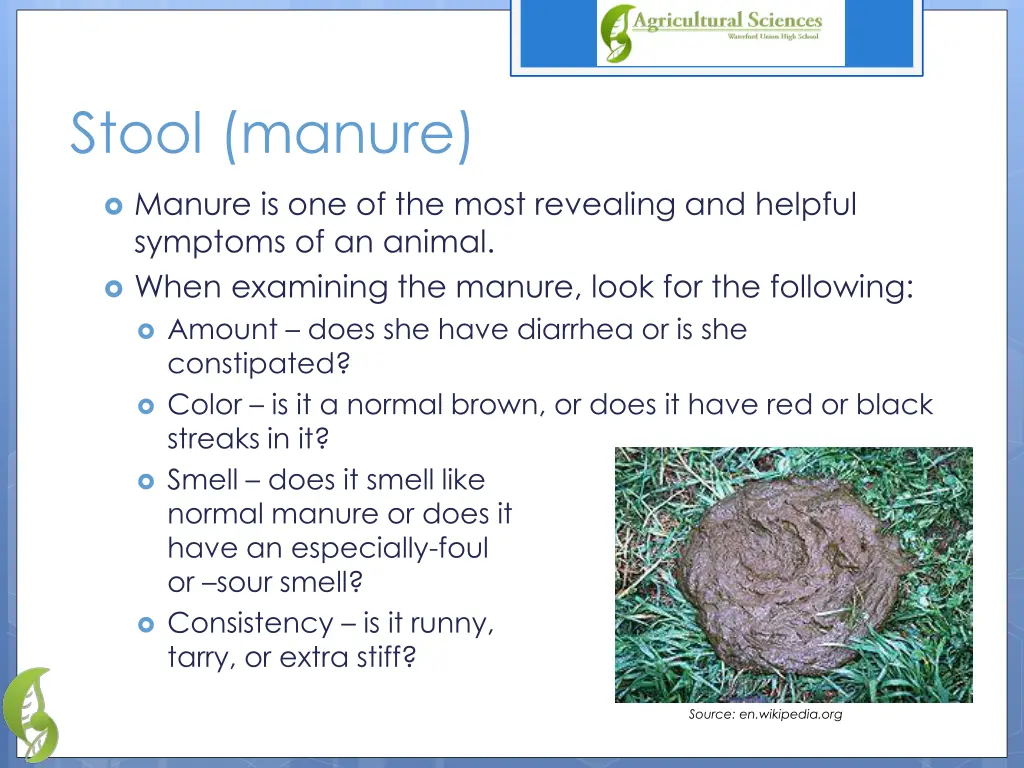 stool manure