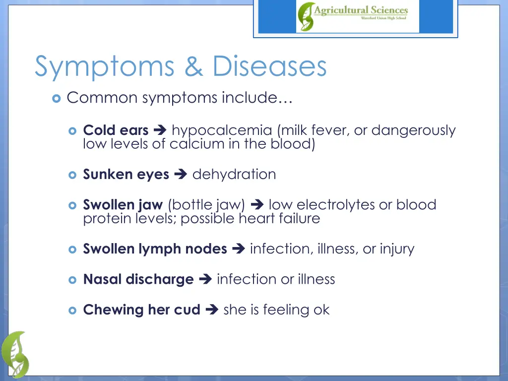 symptoms diseases common symptoms include