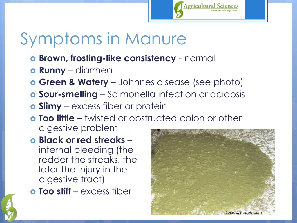 symptoms in manure
