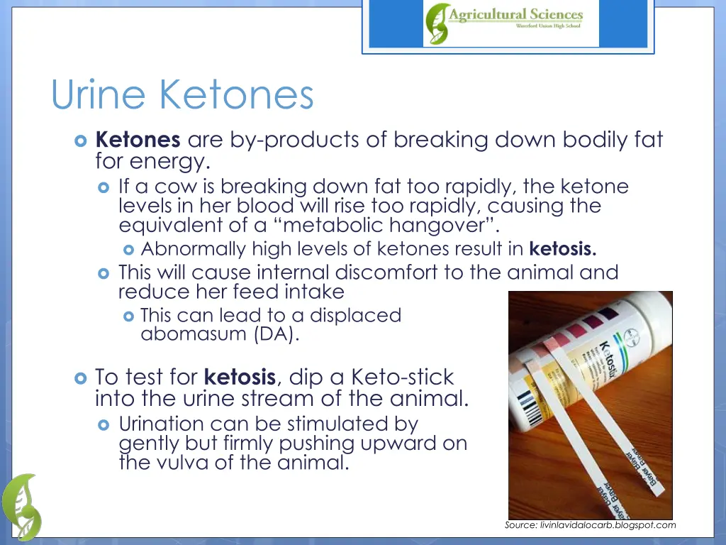 urine ketones ketones are by products of breaking