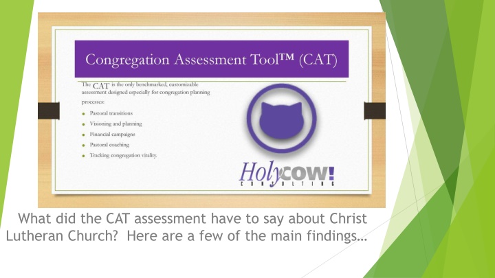 what did the cat assessment have to say about
