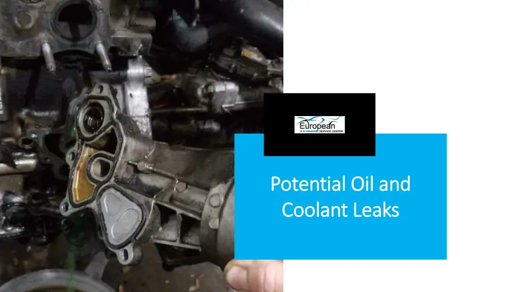 potential oil and potential oil and coolant leaks