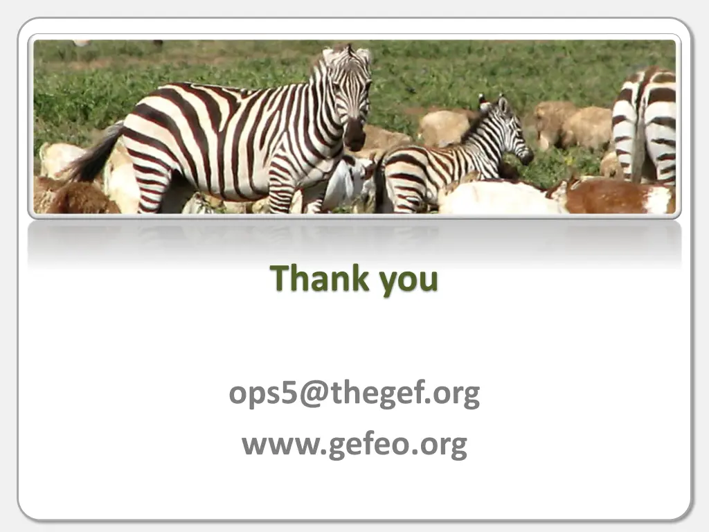 thank you