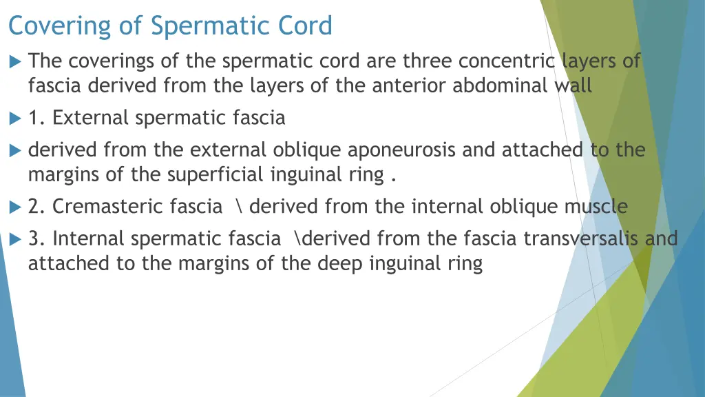covering of spermatic cord the coverings