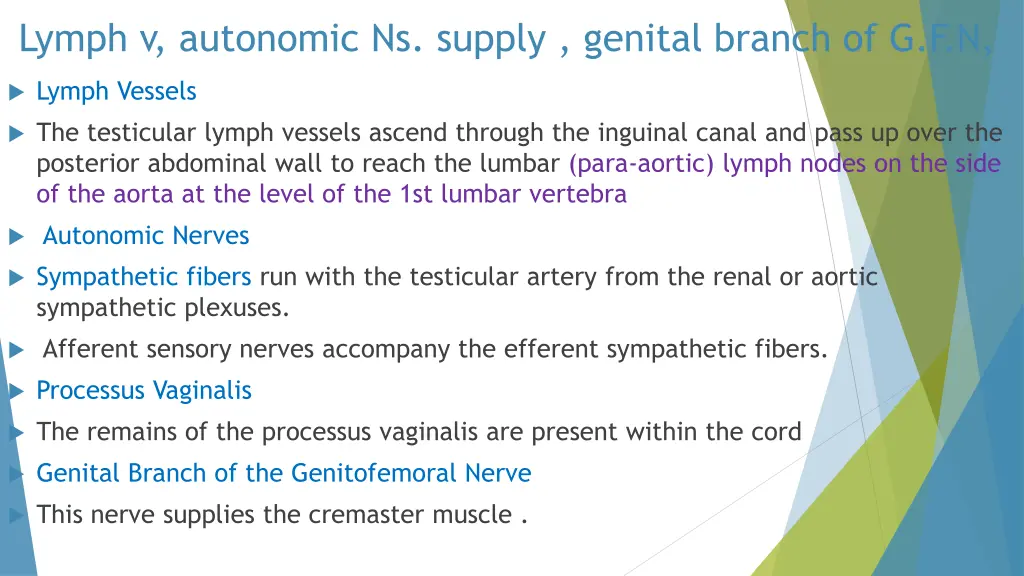 lymph v autonomic ns supply genital branch