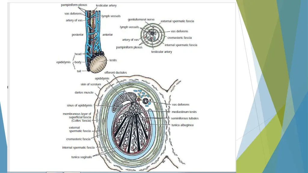 slide5