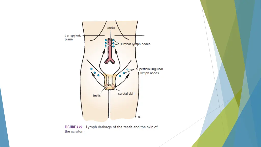 slide9