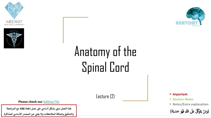 anatomy of the spinal cord