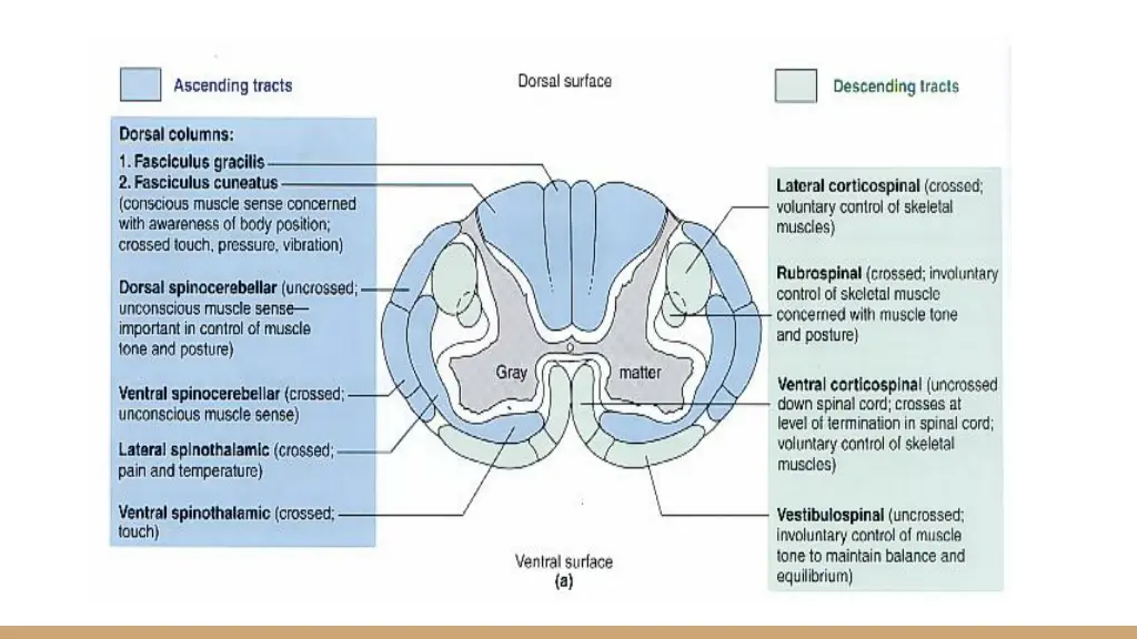 slide18