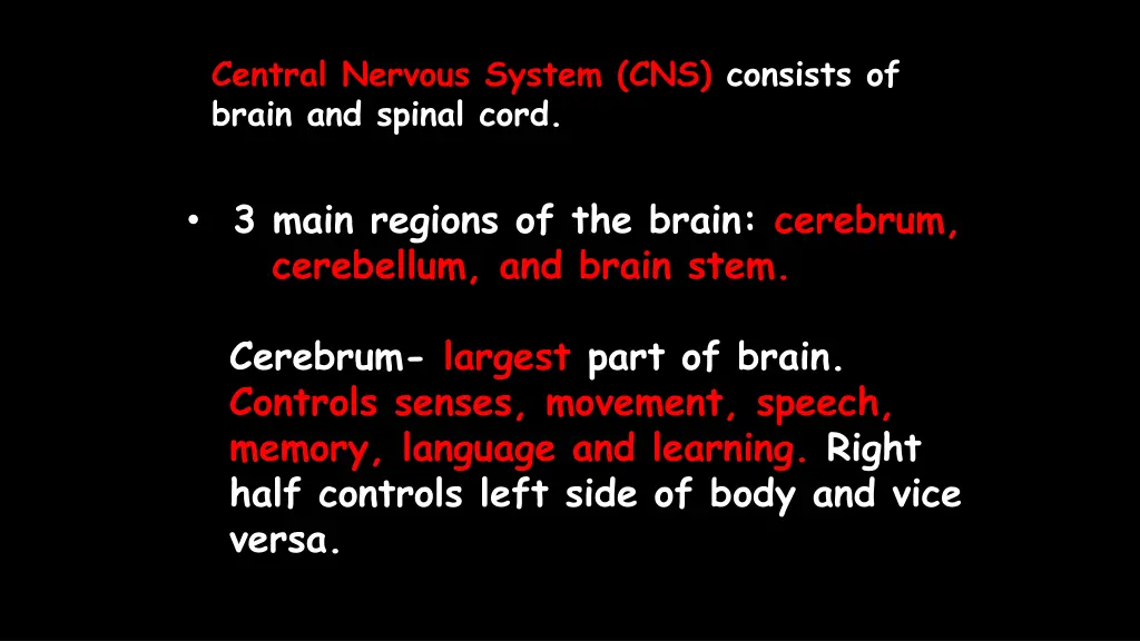 central nervous system cns consists of brain