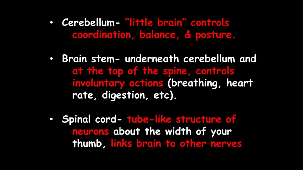 cerebellum little brain controls coordination