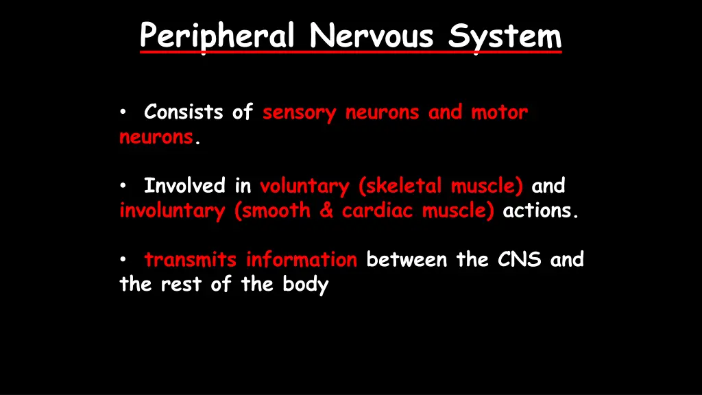 peripheral nervous system