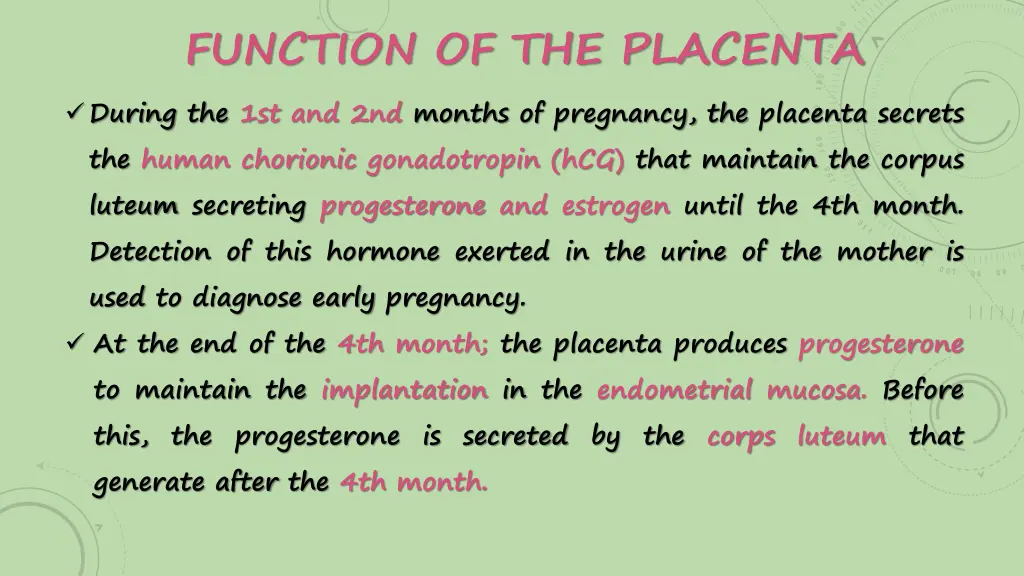 function of the placenta 3