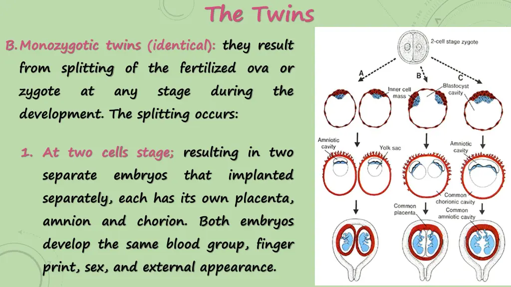 the twins 2
