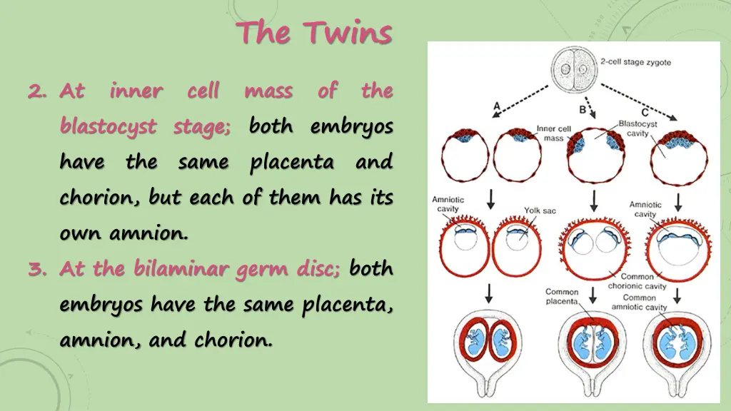 the twins 3