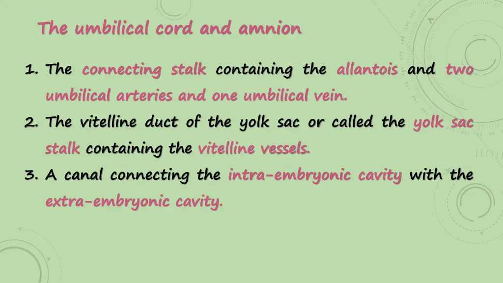 the umbilical cord and amnion 1