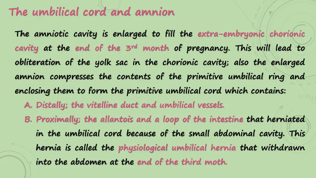 the umbilical cord and amnion 2