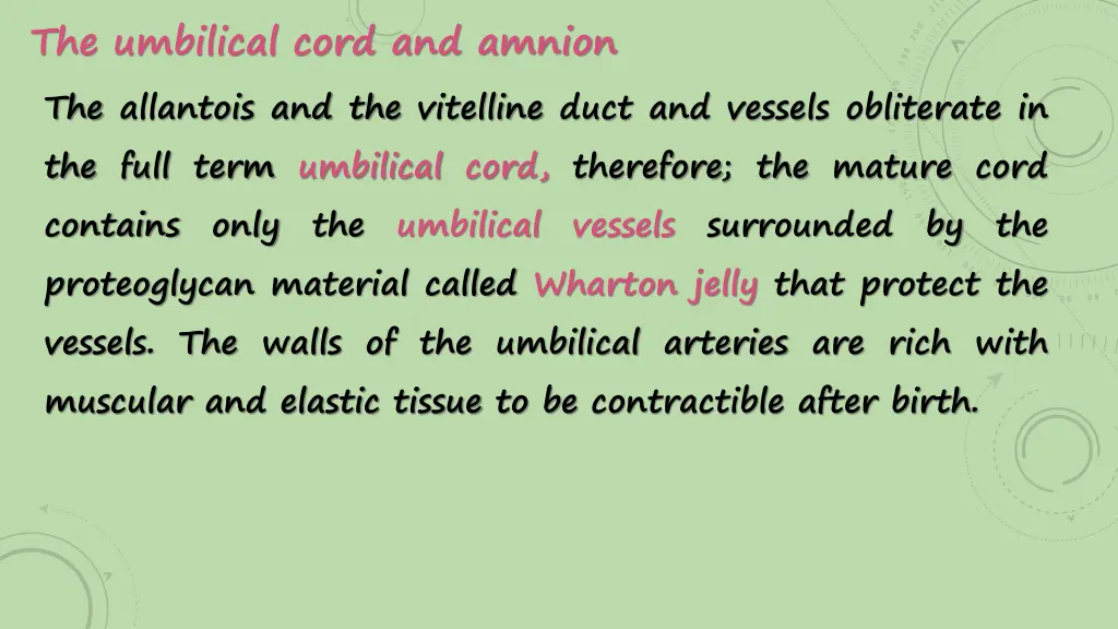 the umbilical cord and amnion the allantois