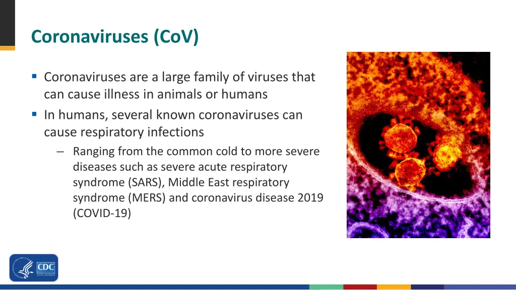 coronaviruses cov