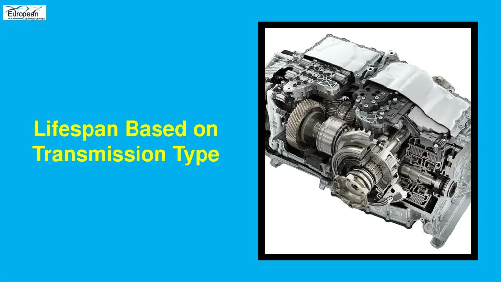 lifespan based on transmission type