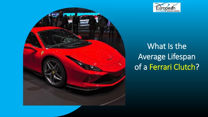 what is the what is the average lifespan average