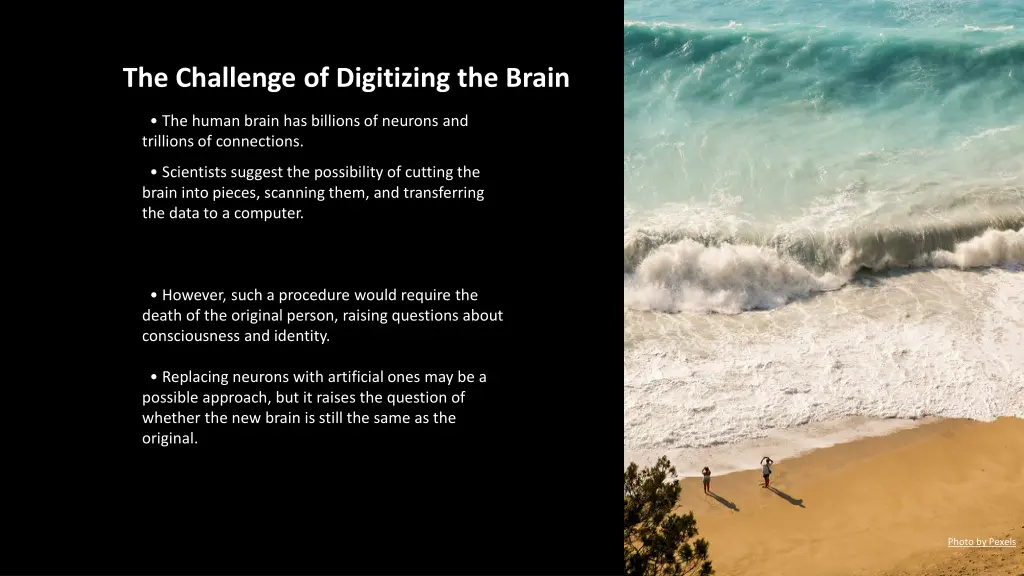 the challenge of digitizing the brain