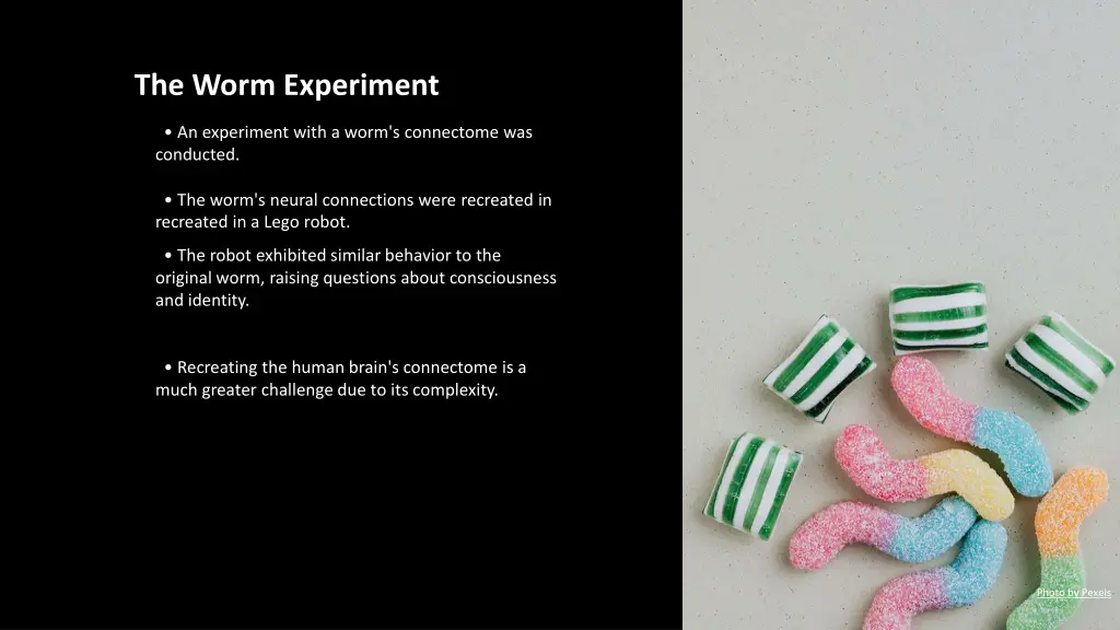 the worm experiment