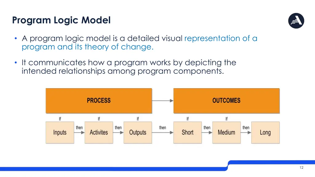 program logic model