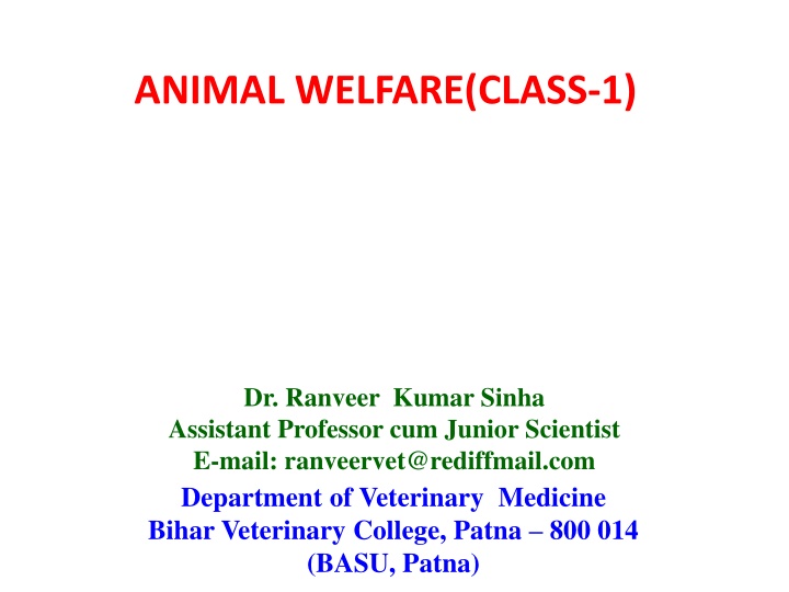 animal welfare class 1
