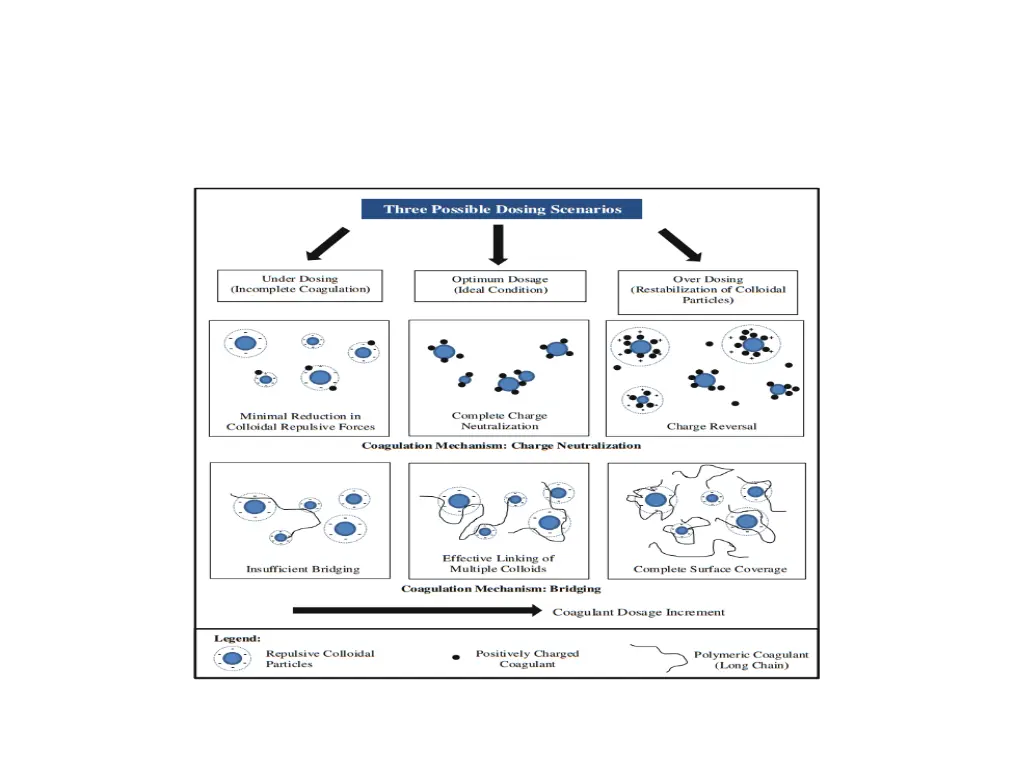 slide7