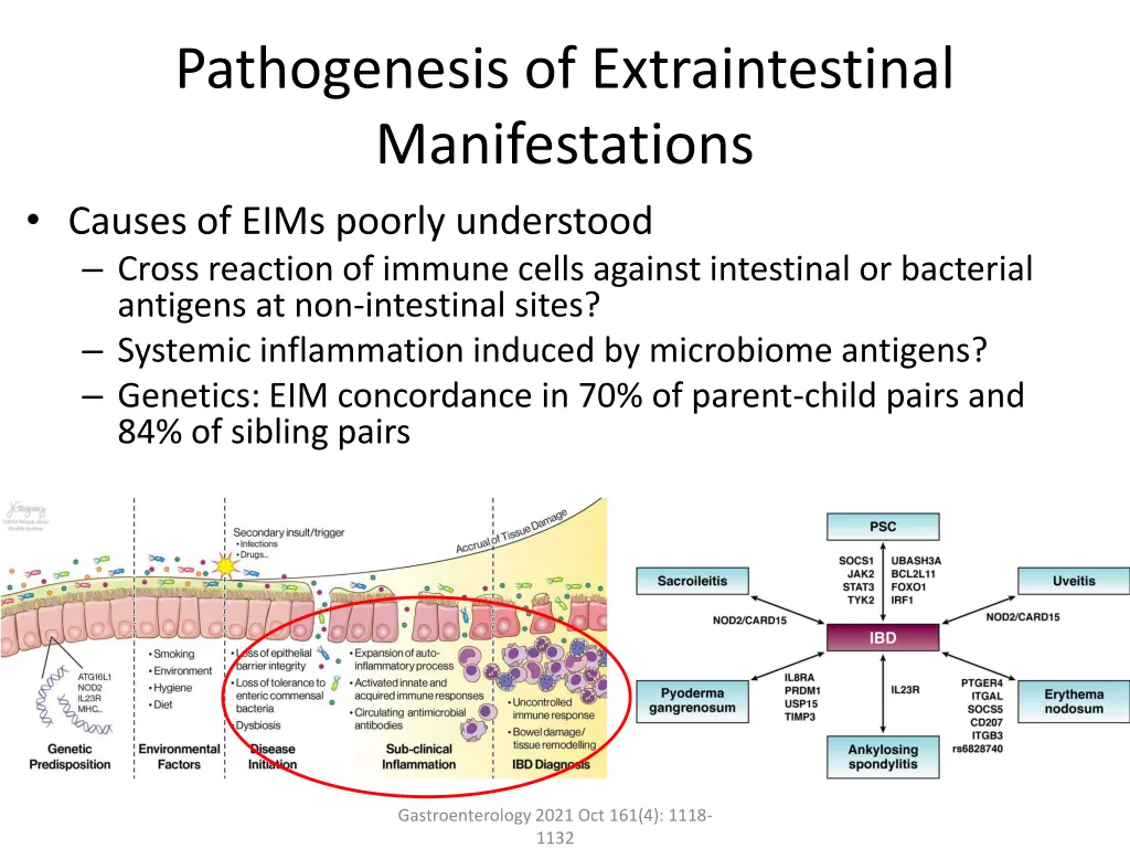 pathogenesis of extraintestinal manifestations