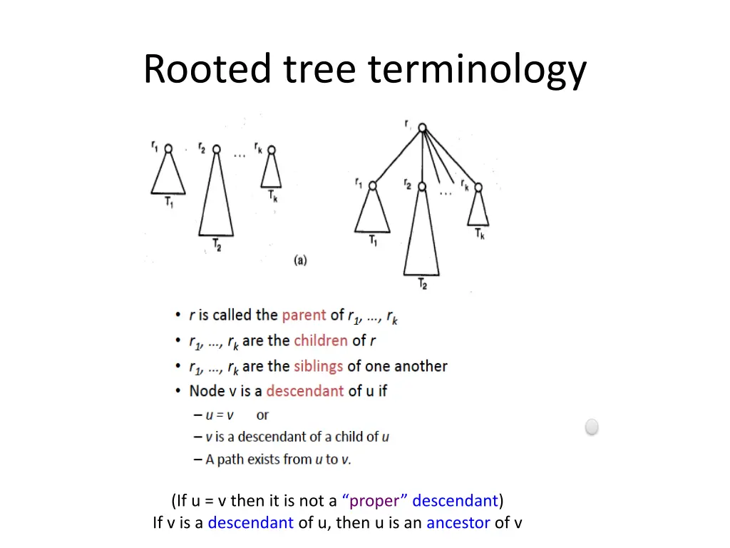 rooted tree terminology