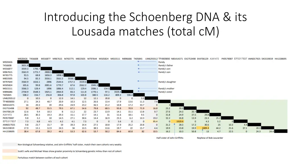 introducing the schoenberg dna its lousada