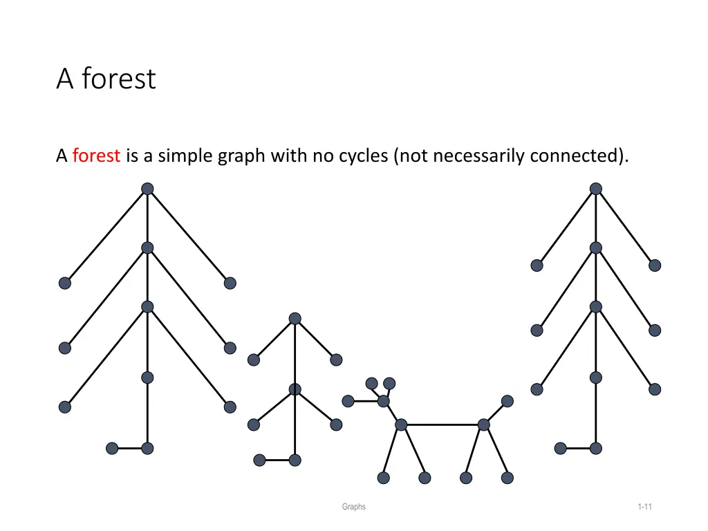a forest