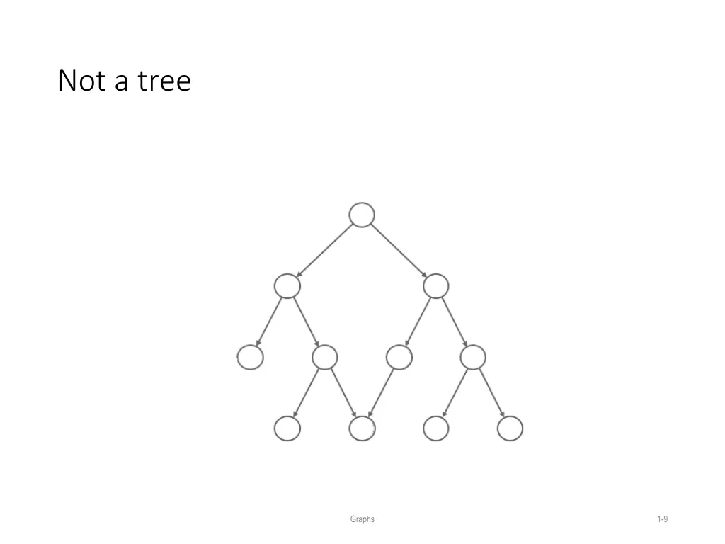 not a tree