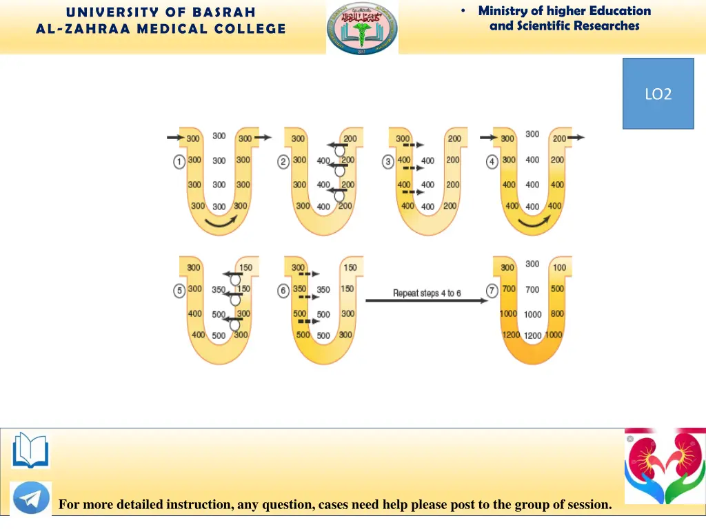 ministry of higher education and scientific 13