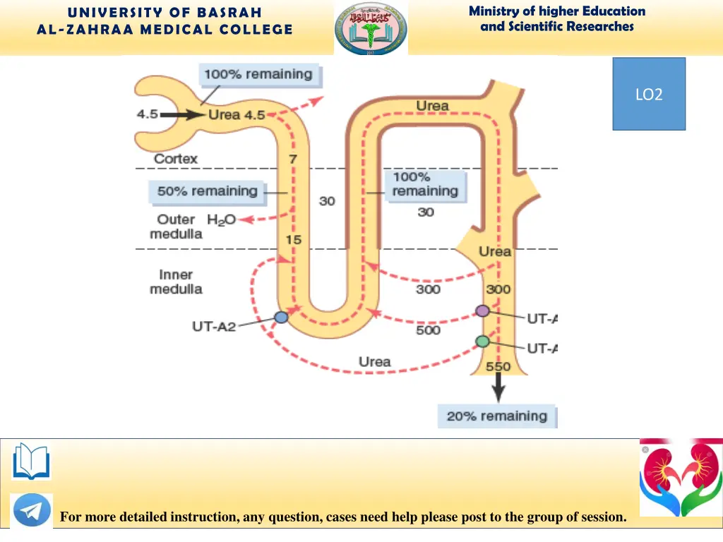 ministry of higher education and scientific 15