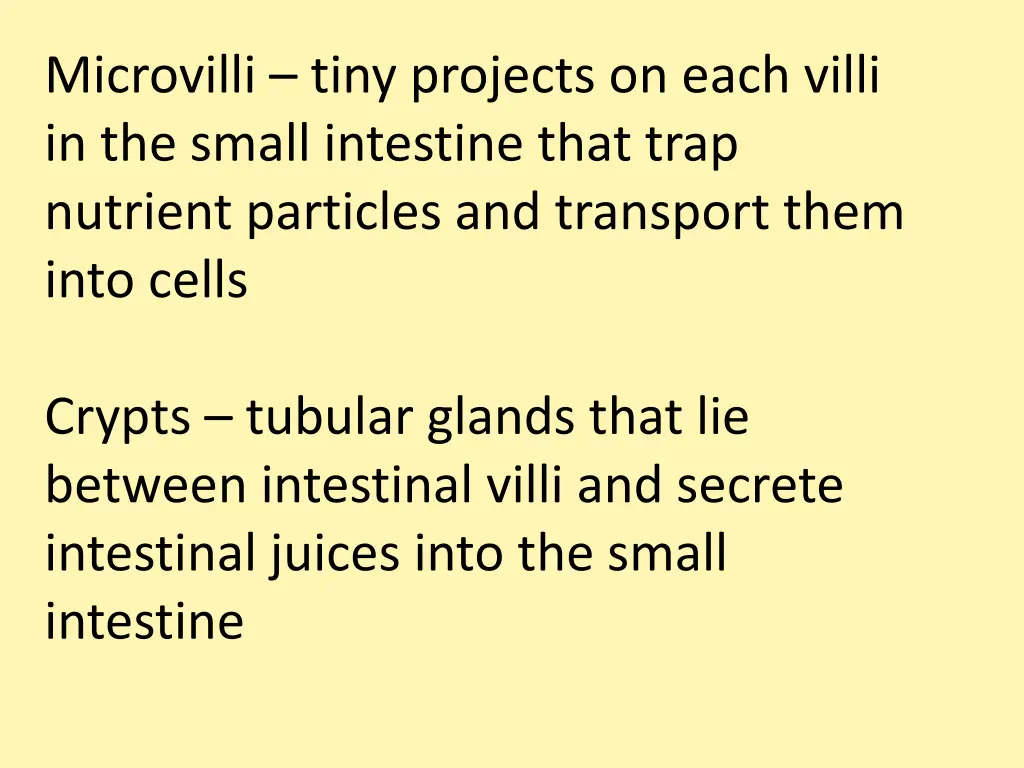 microvilli tiny projects on each villi