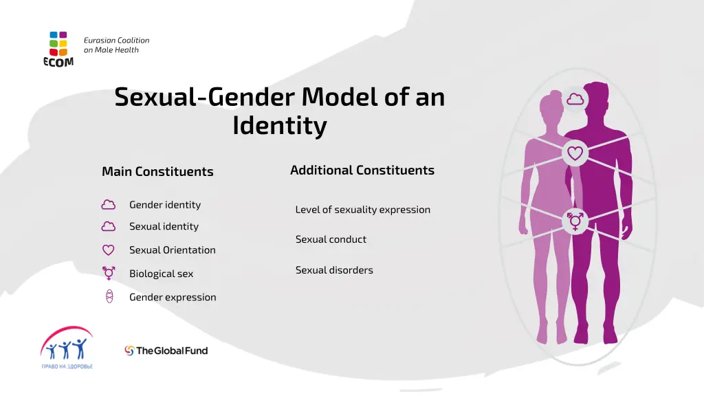 sexual gender model of an identity