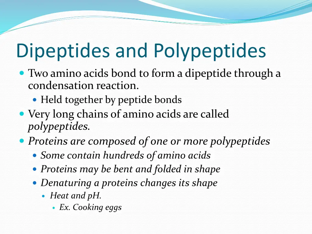 dipeptides and polypeptides two amino acids bond