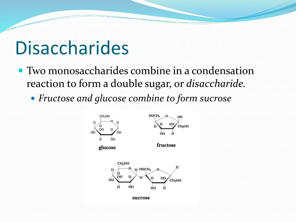 disaccharides