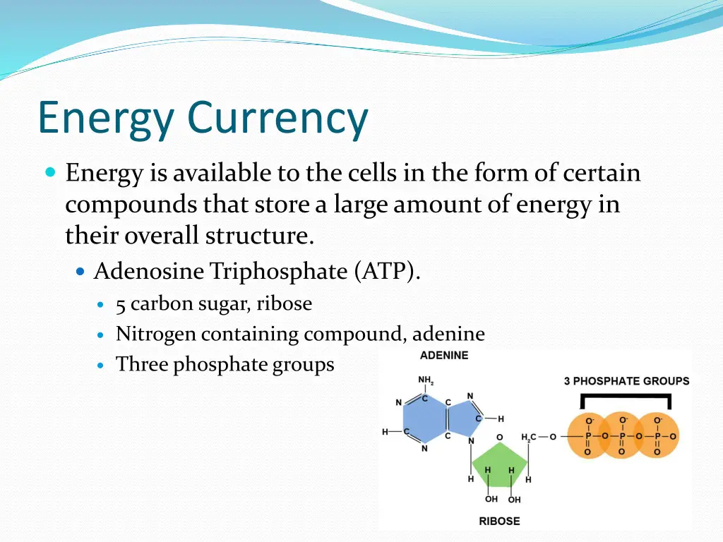 energy currency