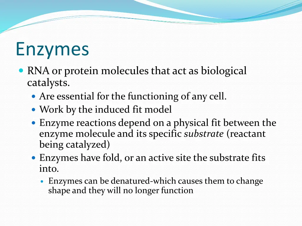 enzymes rna or protein molecules that