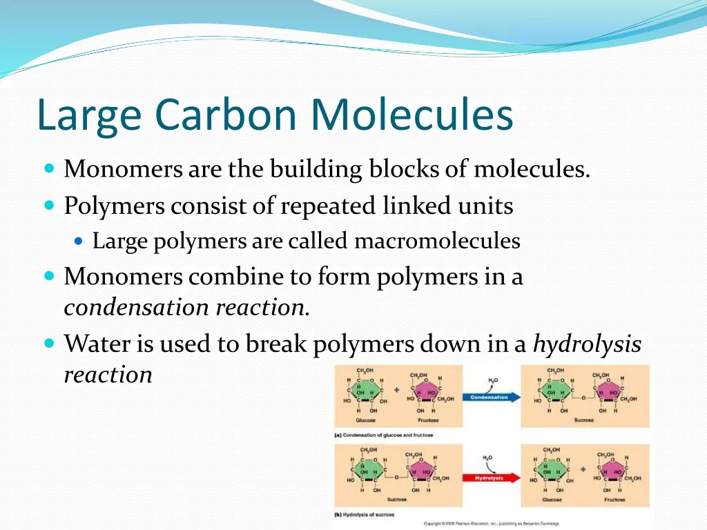 large carbon molecules