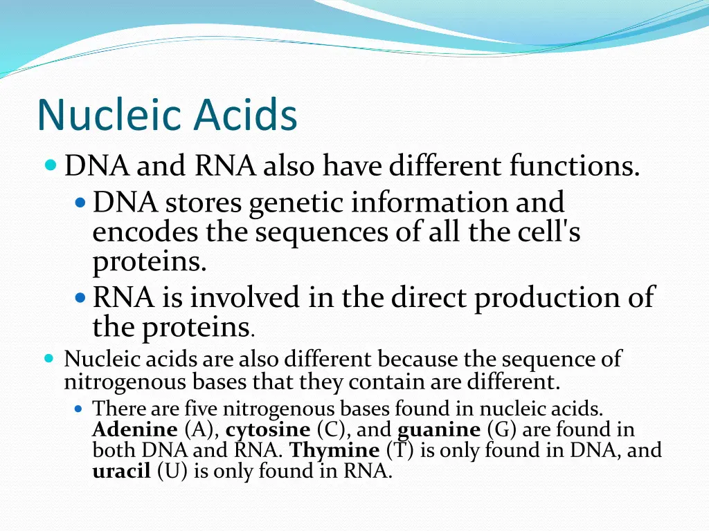 nucleic acids dna and rna also have different