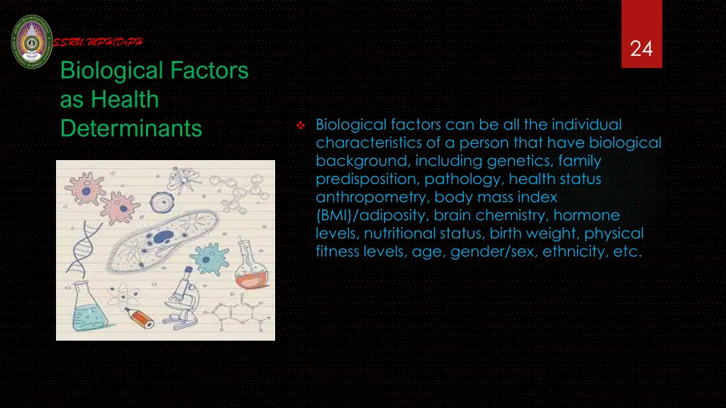 slide24