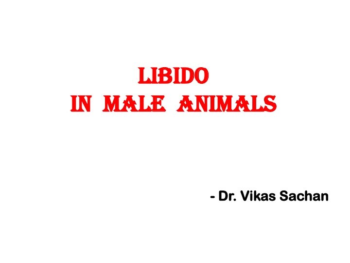 libido libido