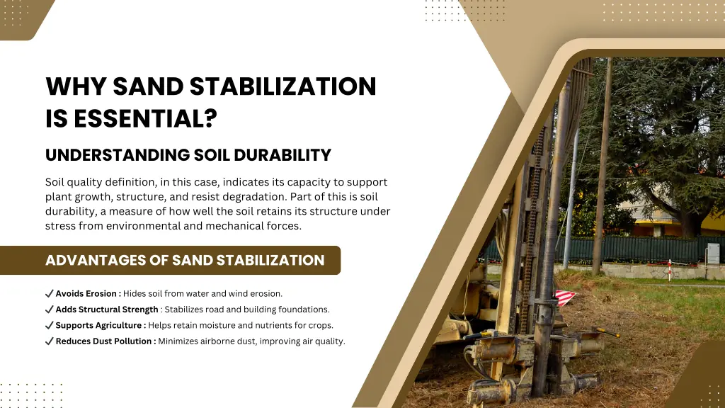 why sand stabilization is essential understanding