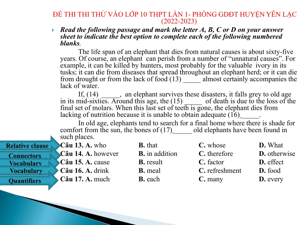 thi thi th v o l p 10 thpt