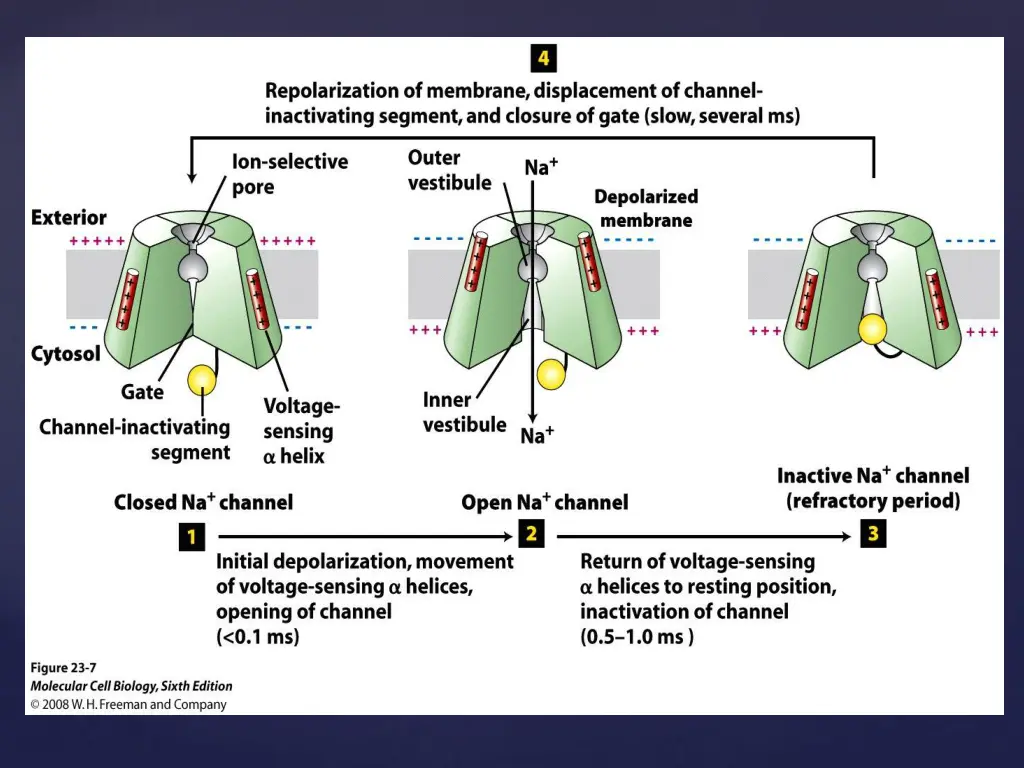 slide10